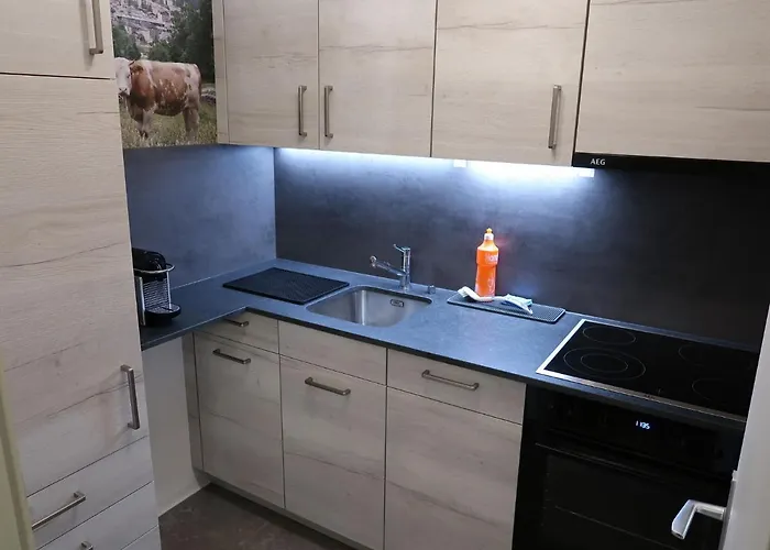 Ringstrasse 213 By Interhome 公寓