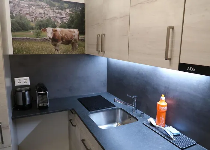 公寓 Ringstrasse 213 By Interhome 洛伊克巴德